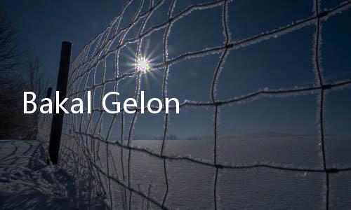 Bakal Gelontorkan ₩12,2 Triliun, Korea Selatan Dorong Pengusaha Tenang Hadapi Efek Kebijakan Trump