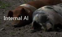 Internal Al